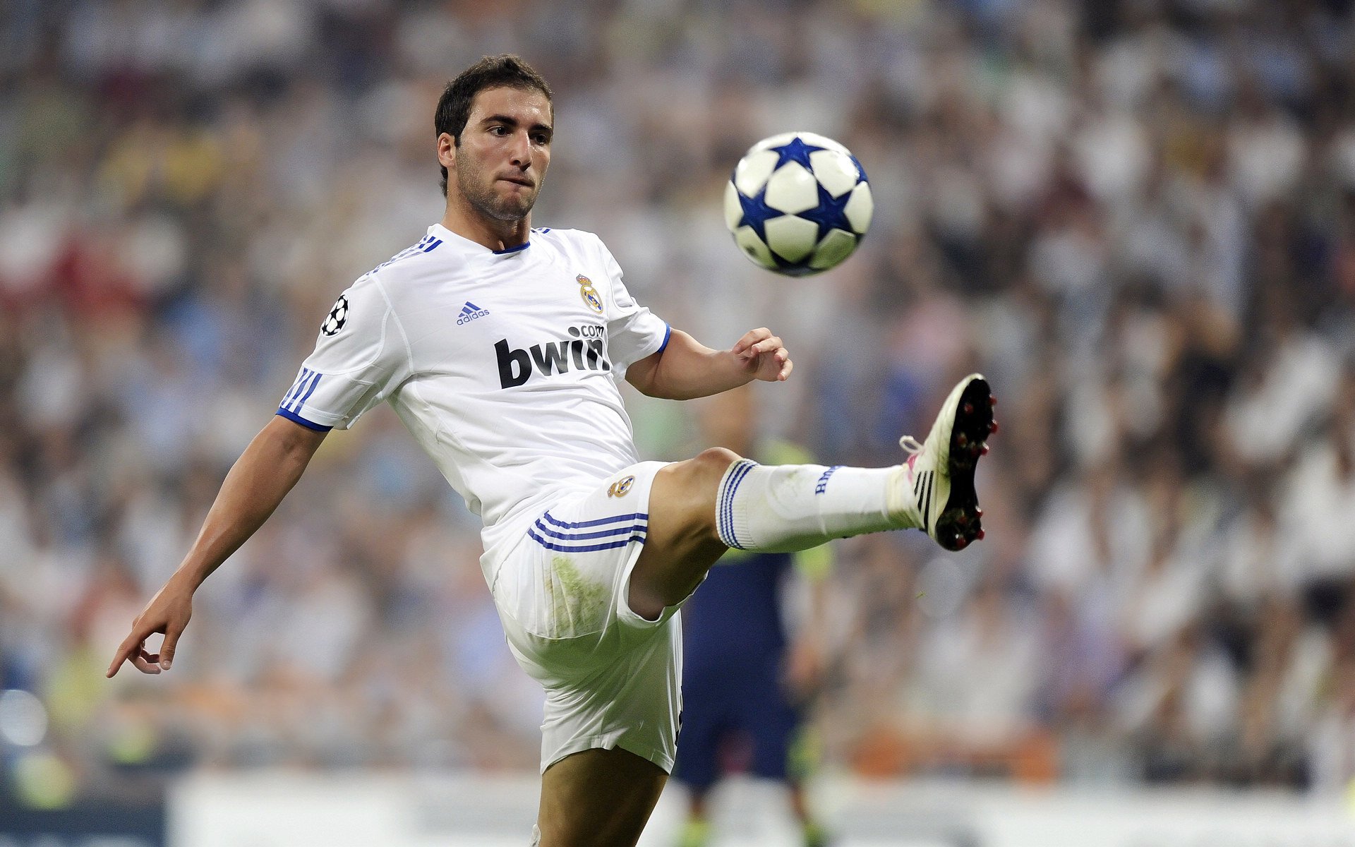 鹈鹕全队开火轻取公牛，鹈鹕对公牛2021.3.4