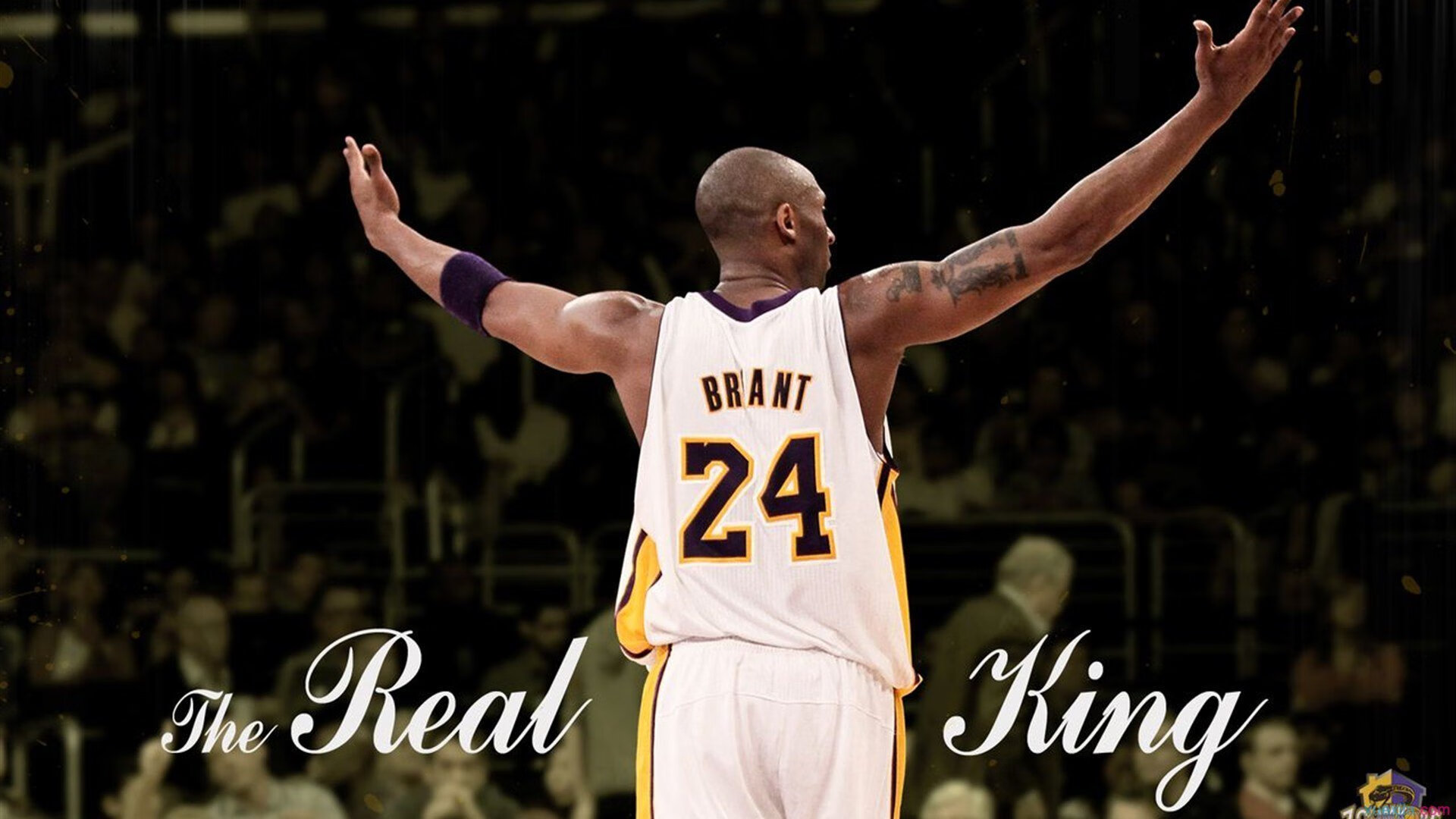 委内瑞拉队壮志凌云，晋级淘汰赛，委内瑞拉球队